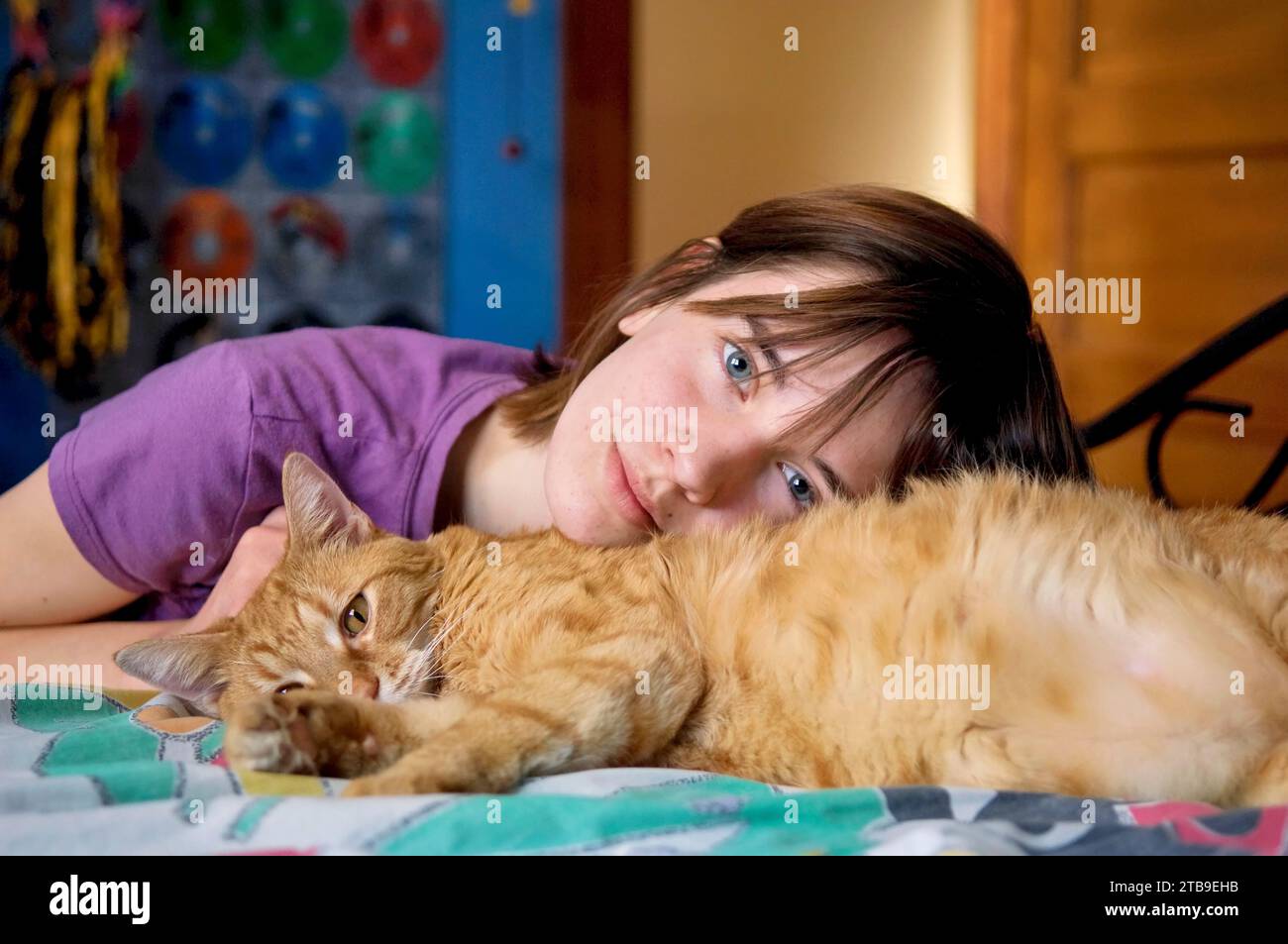 Mädchen, das sich entspannt und ihre Katze (Felis silvestris catus) in ihrem Schlafzimmer streichelt; Lincoln, Nebraska, Vereinigte Staaten von Amerika Stockfoto