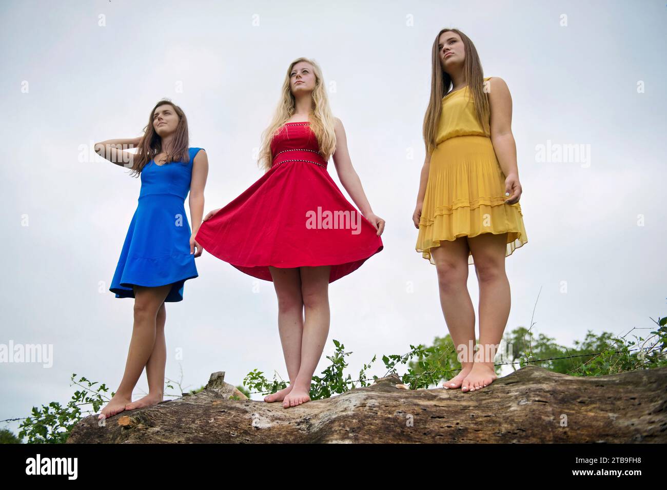 Drei Mädchen im Teenageralter posieren in Kleidern auf einem Baumstamm; Bennet, Nebraska, Vereinigte Staaten von Amerika Stockfoto
