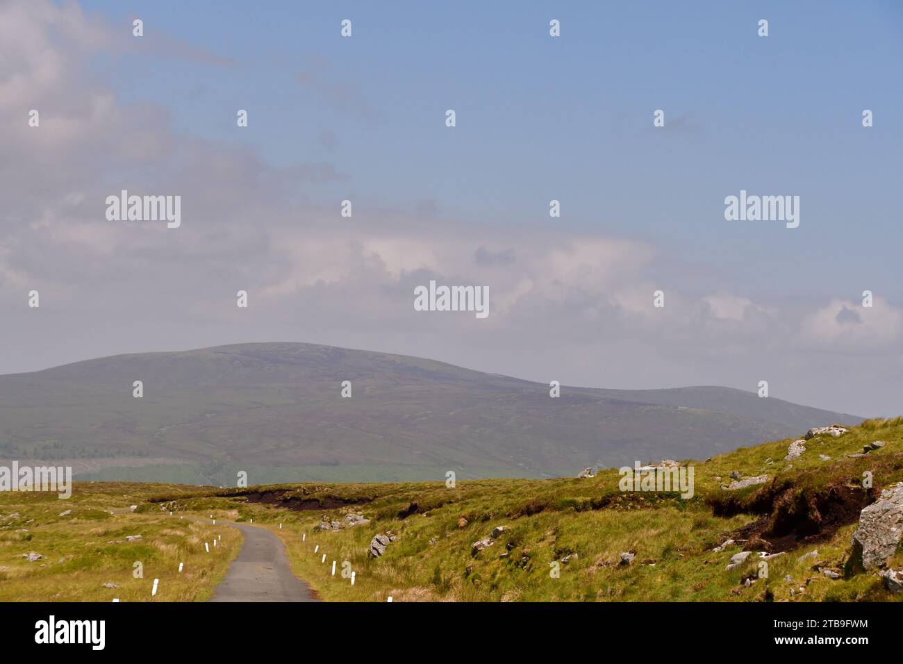 Turlough Hill, Wicklow Mountains, Irland Stockfoto