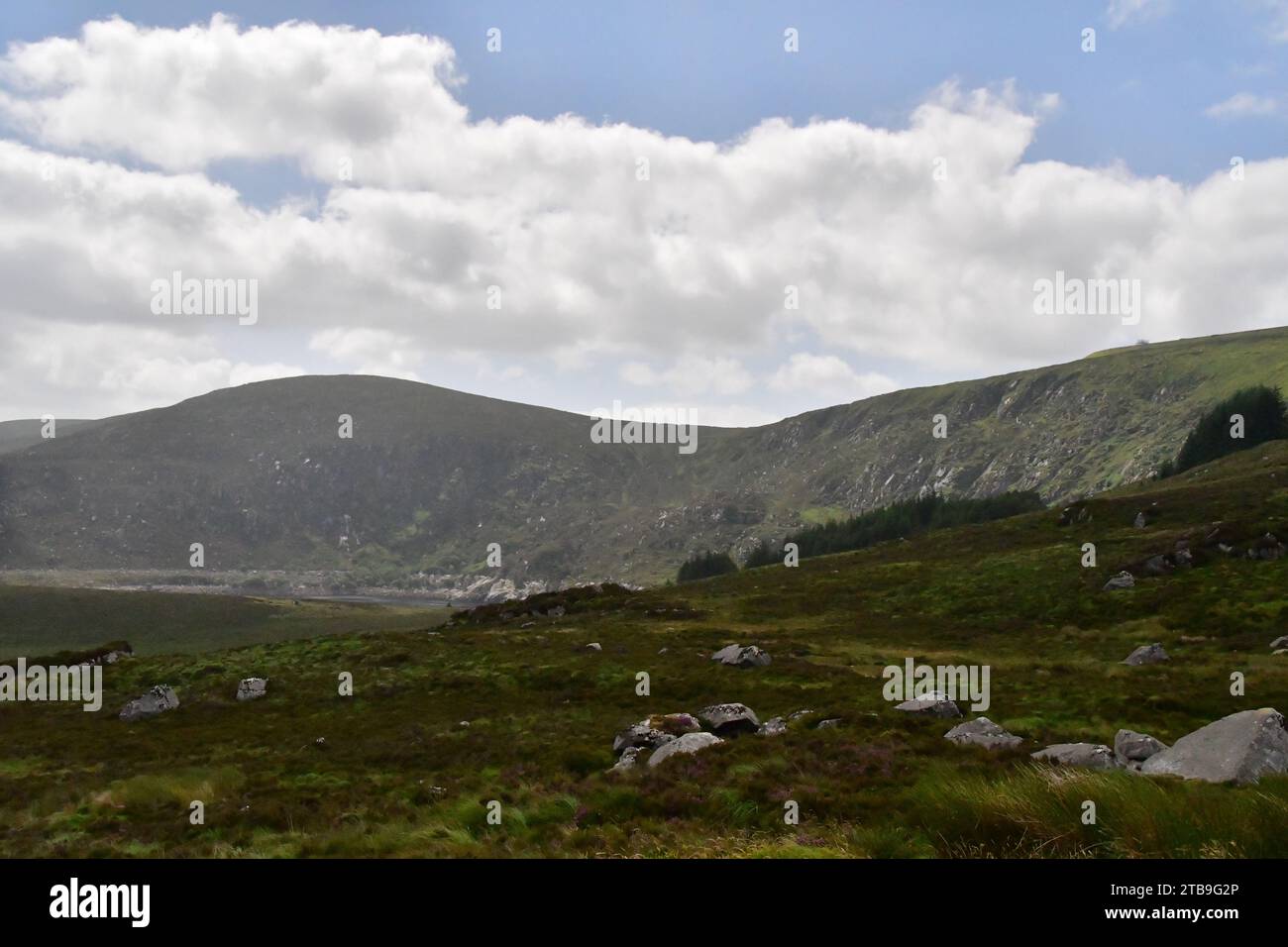 Turlough Hill, Wicklow Mountains, Irland Stockfoto