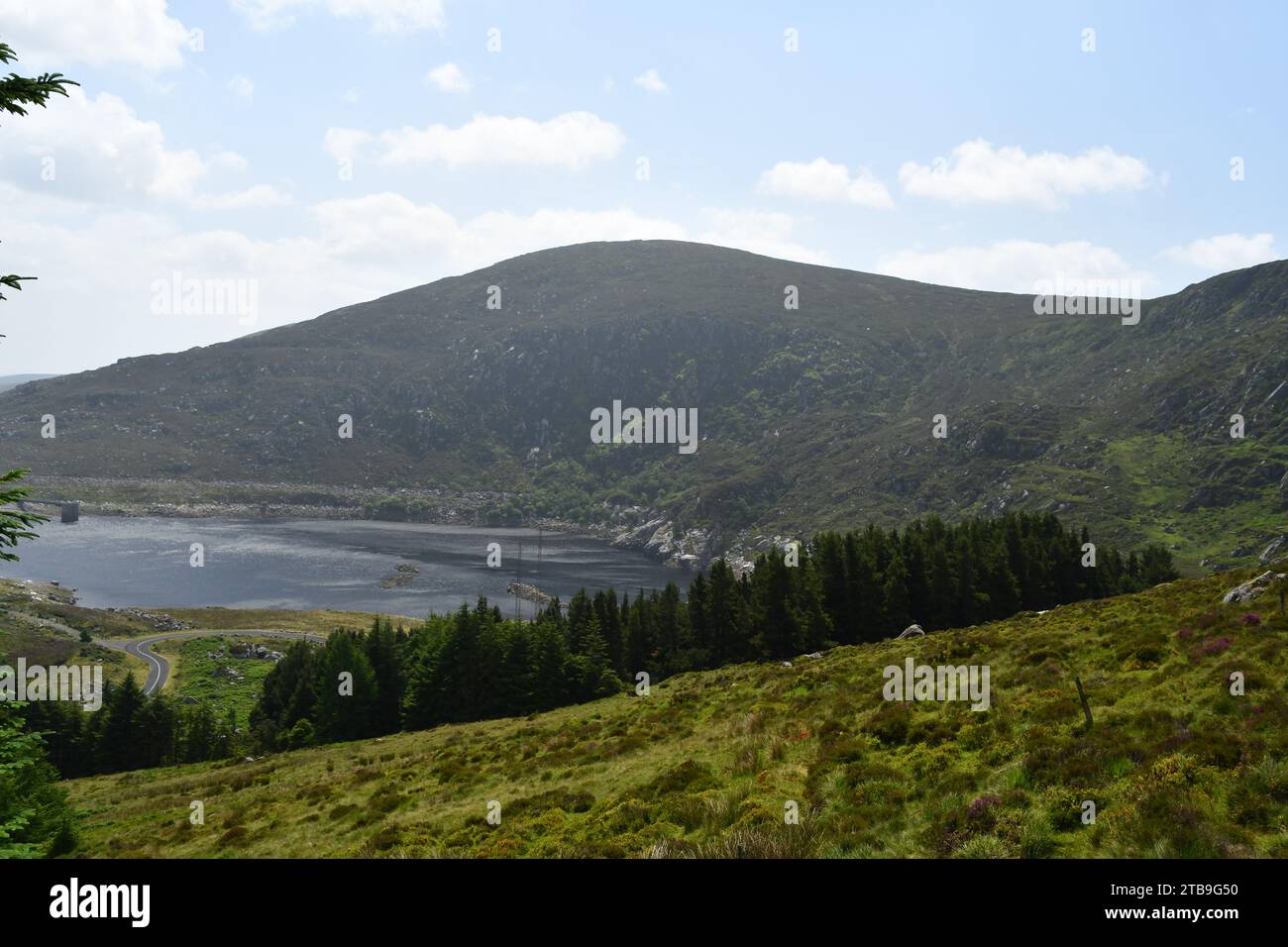 Turlough Hill, Wicklow Mountains, Irland Stockfoto