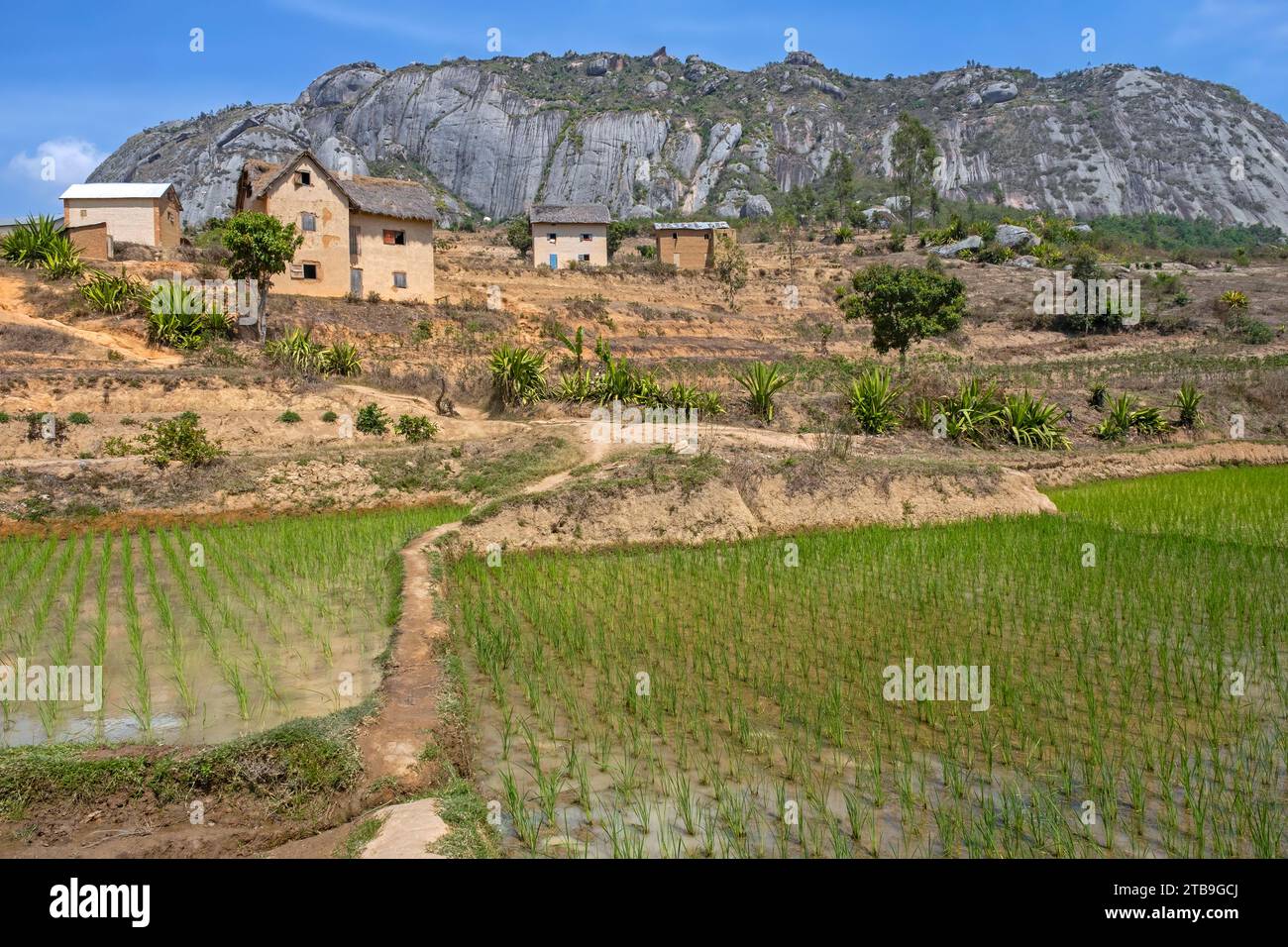 Betsileo ländliches Dorf auf Hügeln und Reisfeldern in der Haute Matsiatra Region, Central Highlands, Madagaskar, Afrika Stockfoto