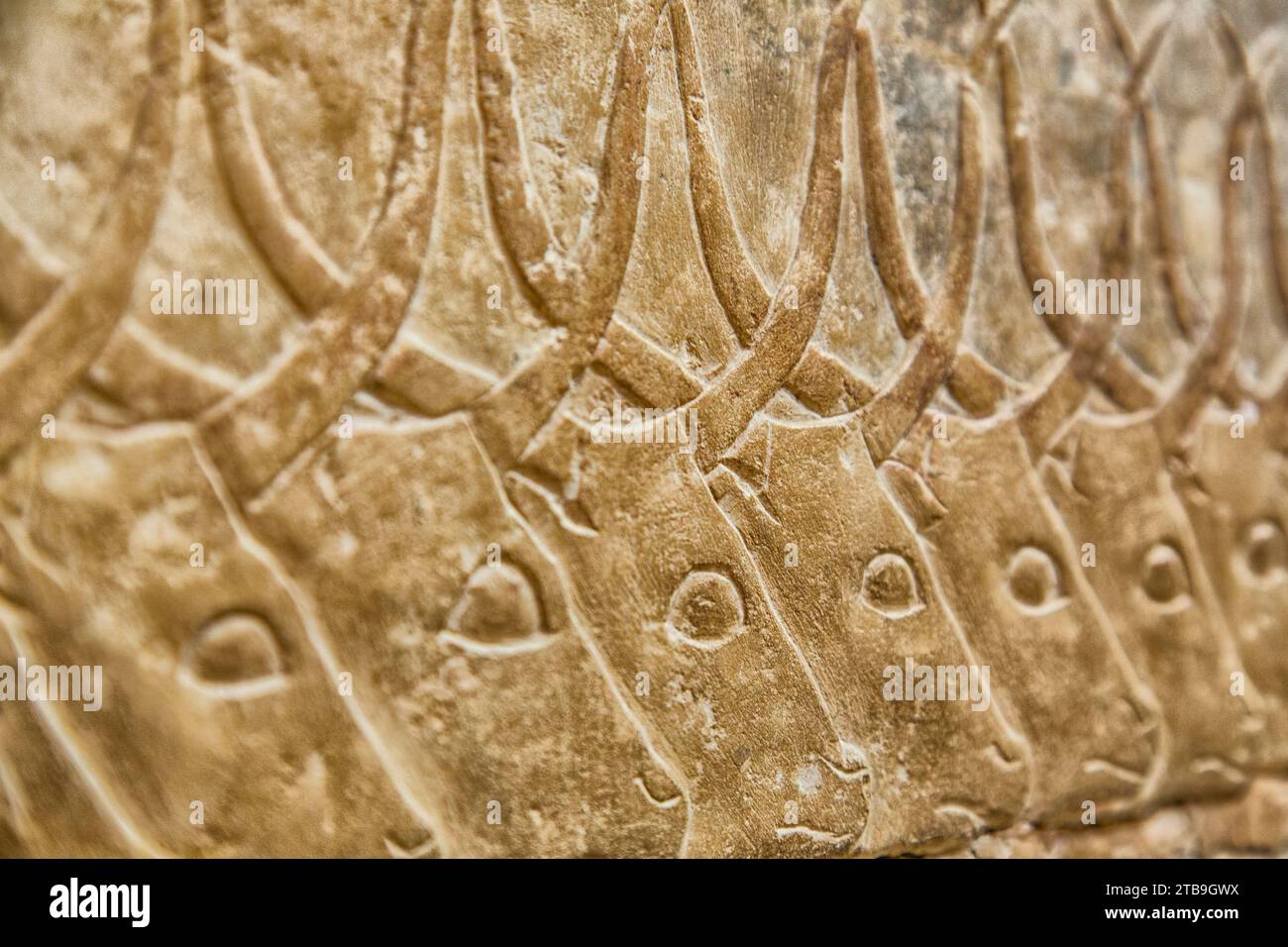 Nahaufnahme von Wasserbüffelhieroglyphen in Sakkara, einem Dorf mit alten, ägyptischen Grabstätten; Sakkara, Ägypten Stockfoto