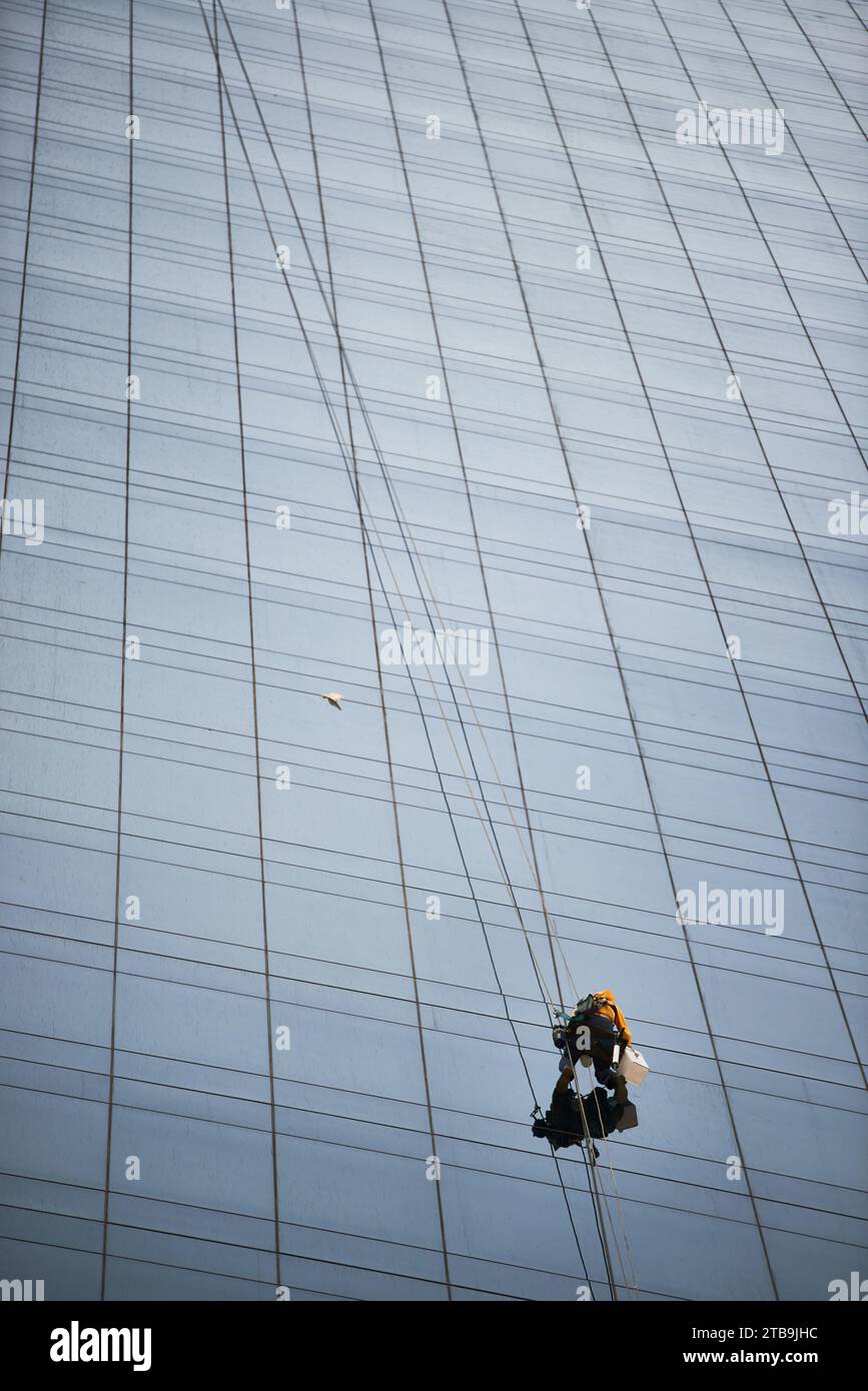Person, die die Fenster eines Wolkenkratzers reinigt, der an einem Kletterseil hängt, Panama-Stadt, Republik Panama. Stockfoto