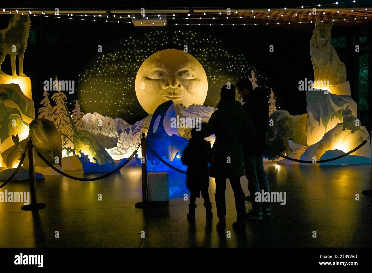 Arctic Glacier Installation, VanDusen Festival of Lights, VanDusen Botanical Garden, Vancouver, British Columbia, Kanada Stockfoto