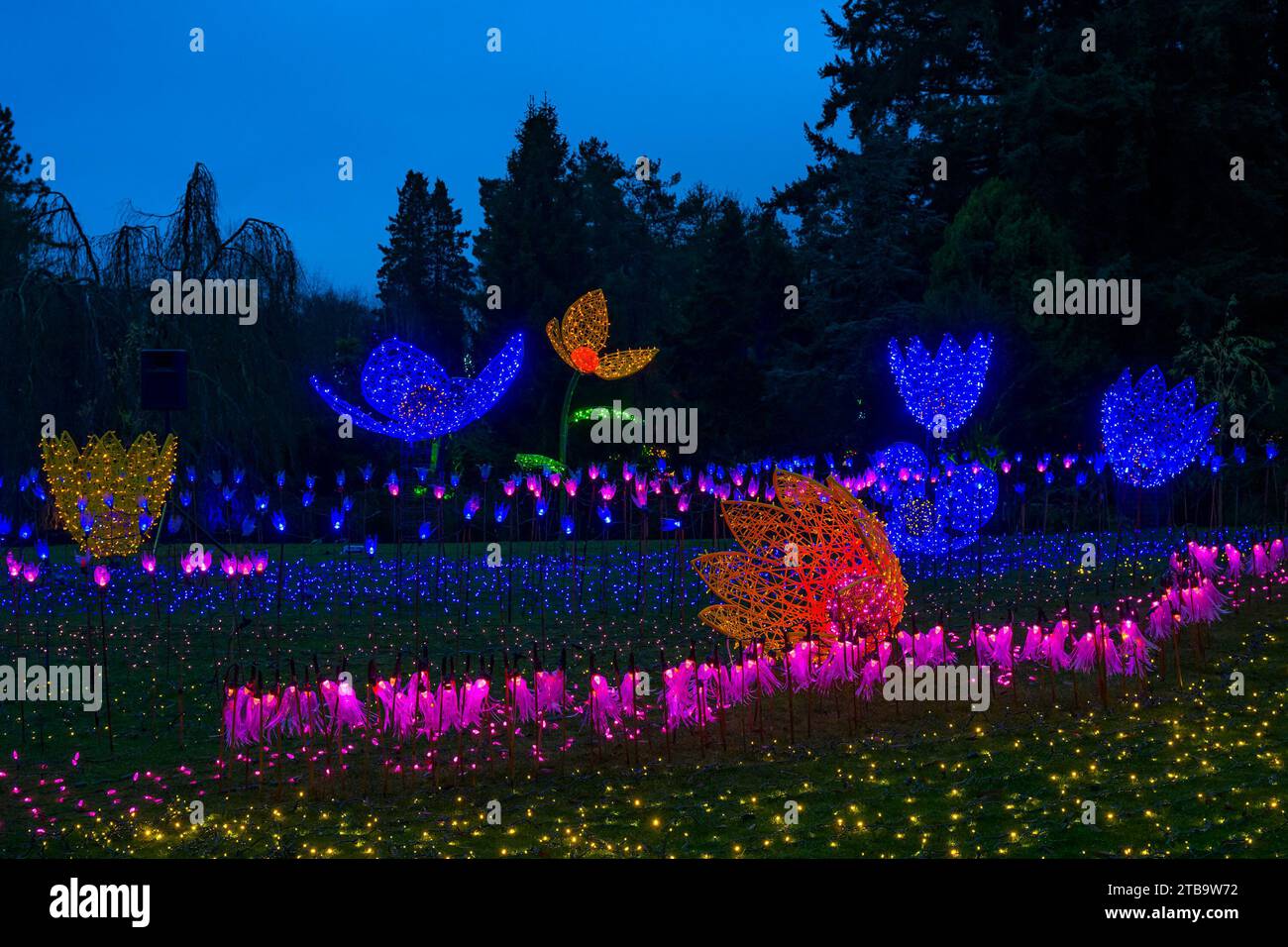 Flowers of Light, Festival of Lights, VanDusen Botanical Garden, Vancouver, British Columbia, Kanada Stockfoto