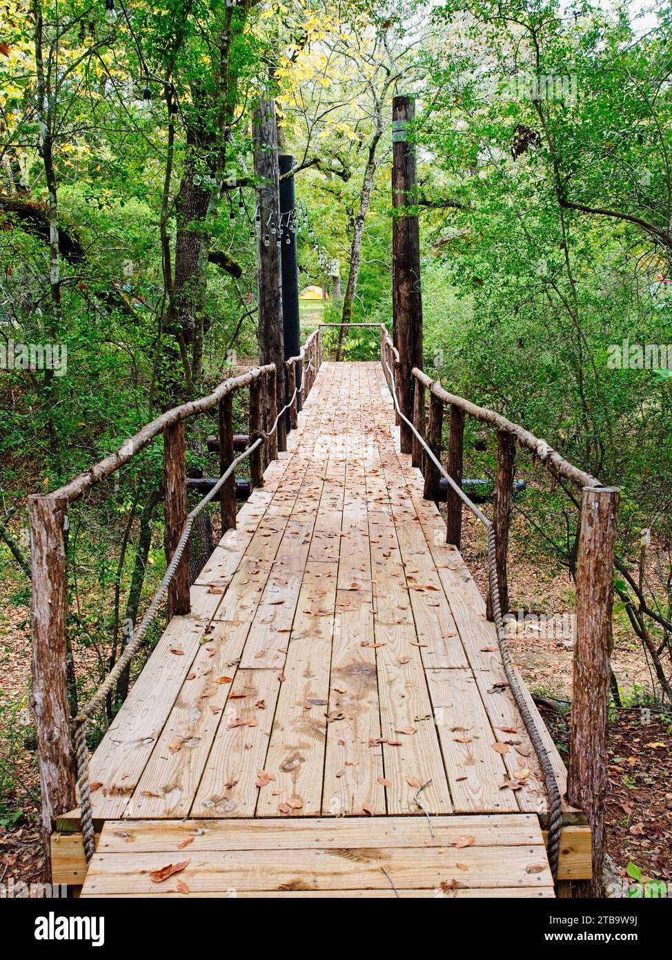 Holzbrücke im Wald zum Gelben Zelt Stockfoto