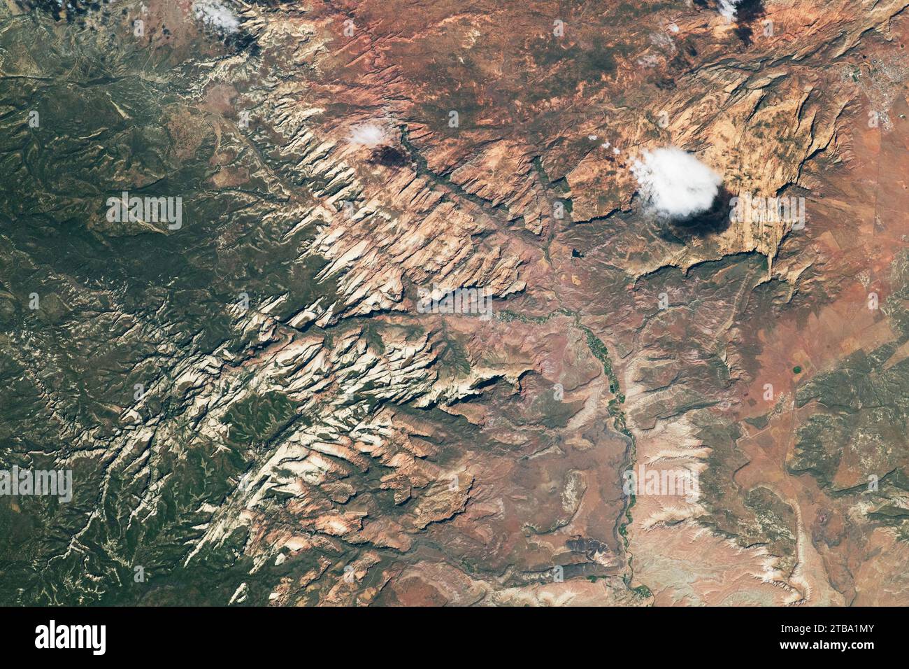 Helle Klippen, die sich durch die warmen Wüstentöne des Zion-Nationalparks im Südwesten Utahs ziehen. Stockfoto