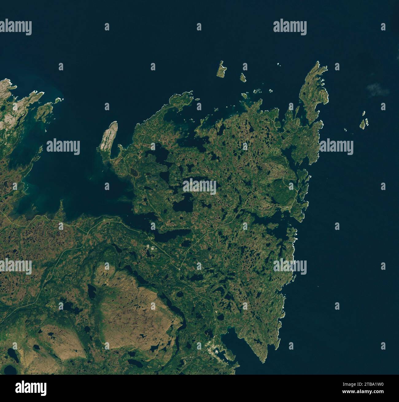 Satellitenansicht der Great Northern Peninsula von Neufundland. Stockfoto