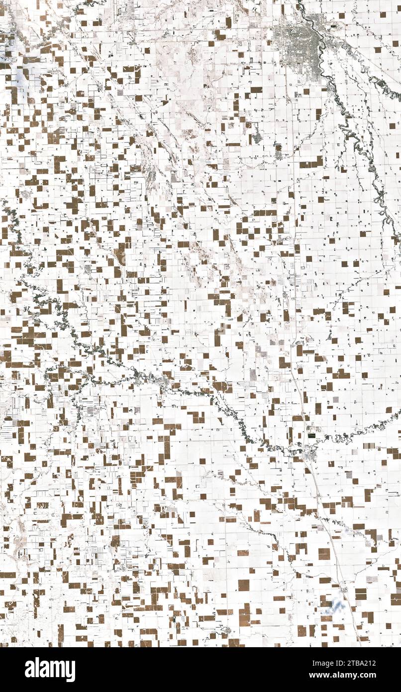 Ein Netz brauner Quadrate steht im Kontrast zur schneeweißen Landschaft im Osten von North Dakota. Stockfoto