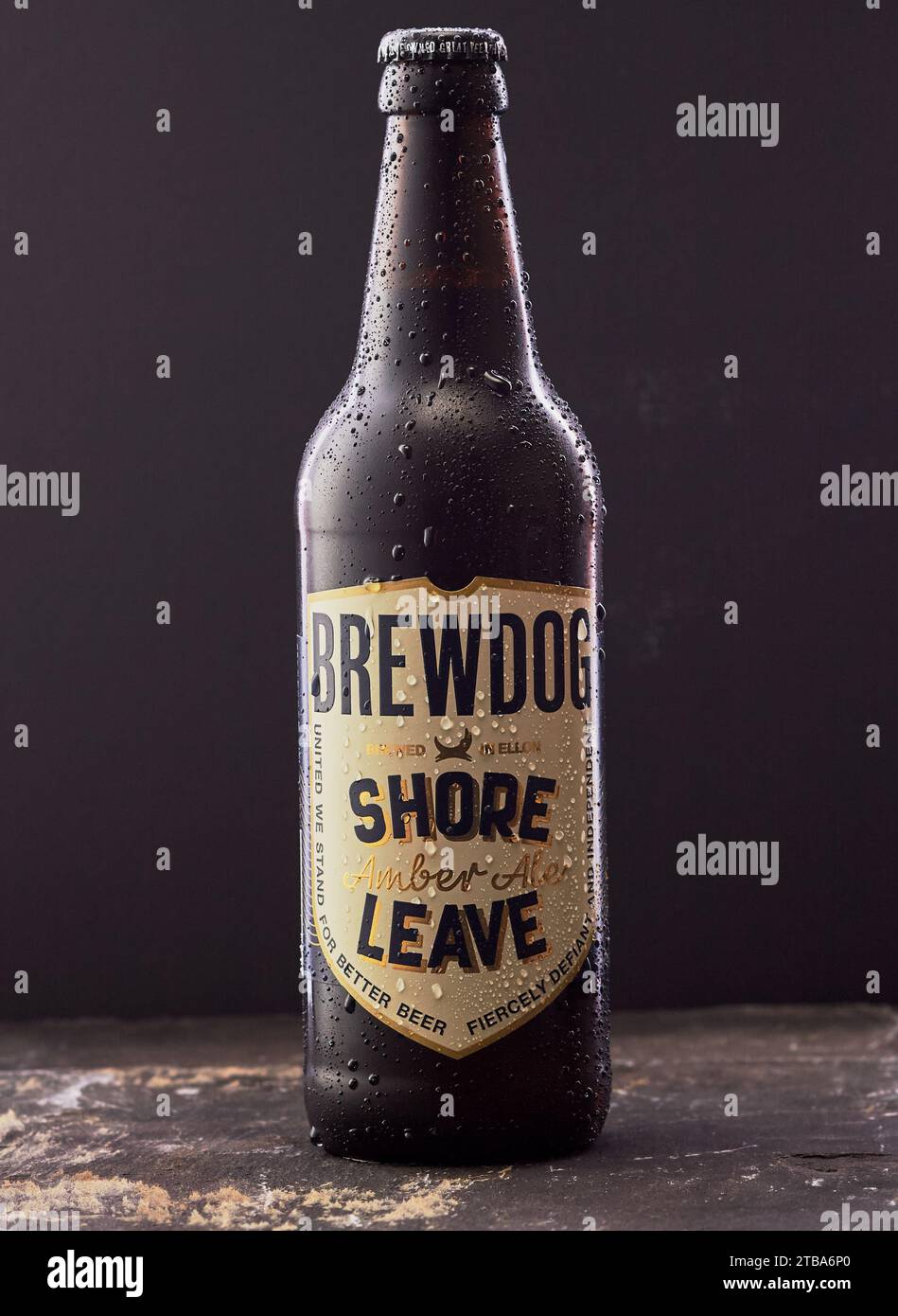 Mansfield, Nottingham, Großbritannien, 30. November 2023: Studio-Produktbild einer Flasche BrewDog Shore Leave Ale. Stockfoto
