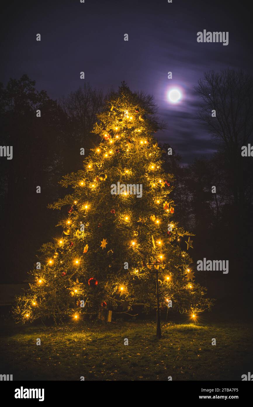 Großer, dekorierter und beleuchteter Weihnachtsbaum bei Nacht mit strahlendem Mond, vertikal Stockfoto