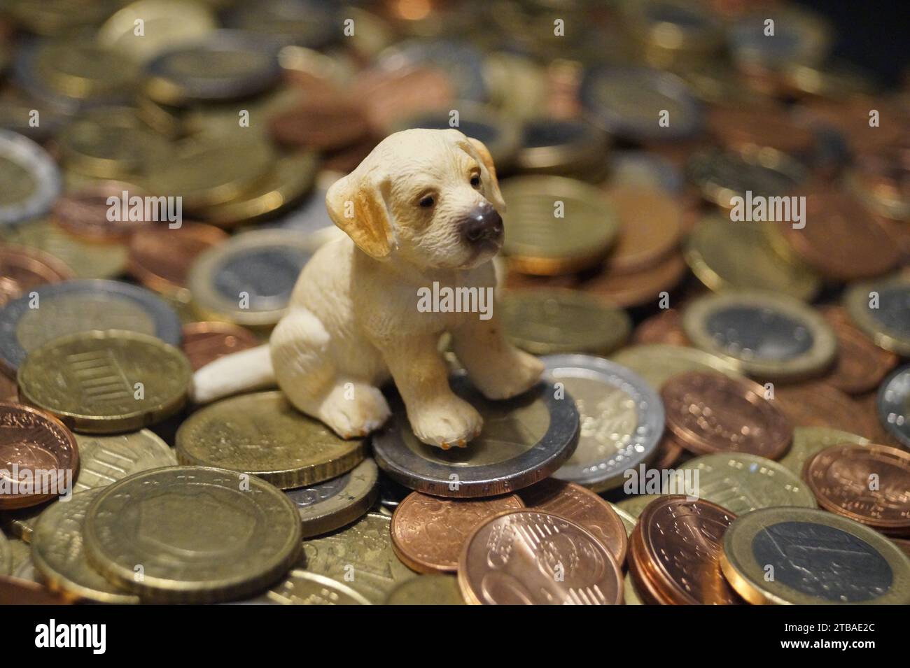 Hundefigur auf Münzen Stockfoto