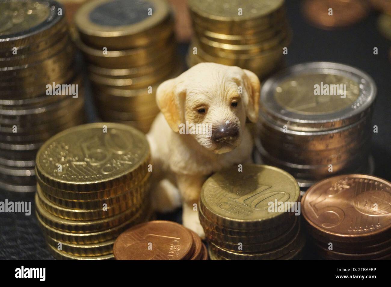 Hundefigur auf Münzen Stockfoto