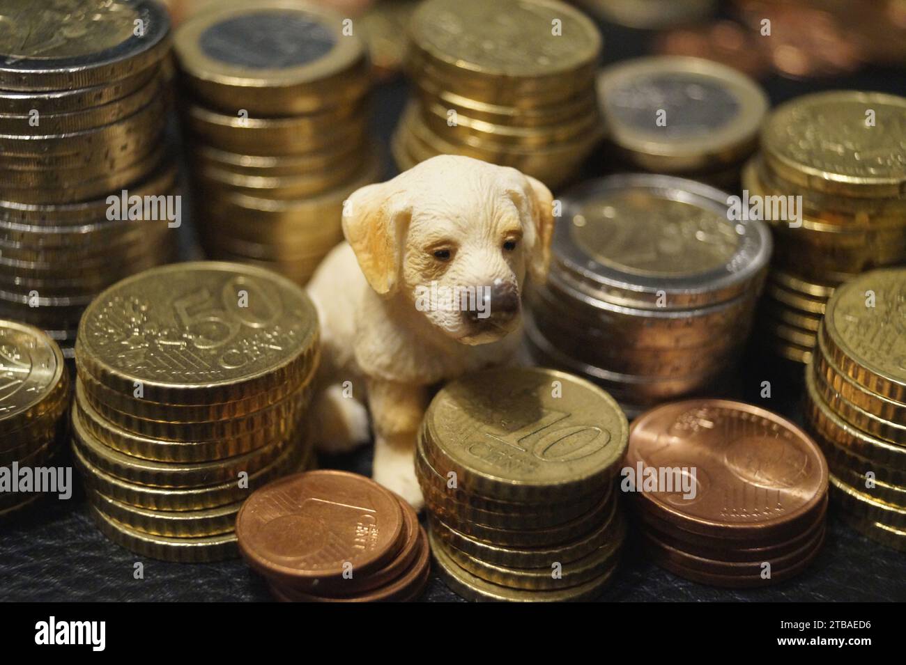 Hundefigur auf Münzen Stockfoto