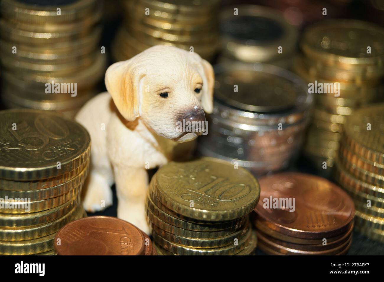 Hundefigur zwischen Münzstapeln Stockfoto