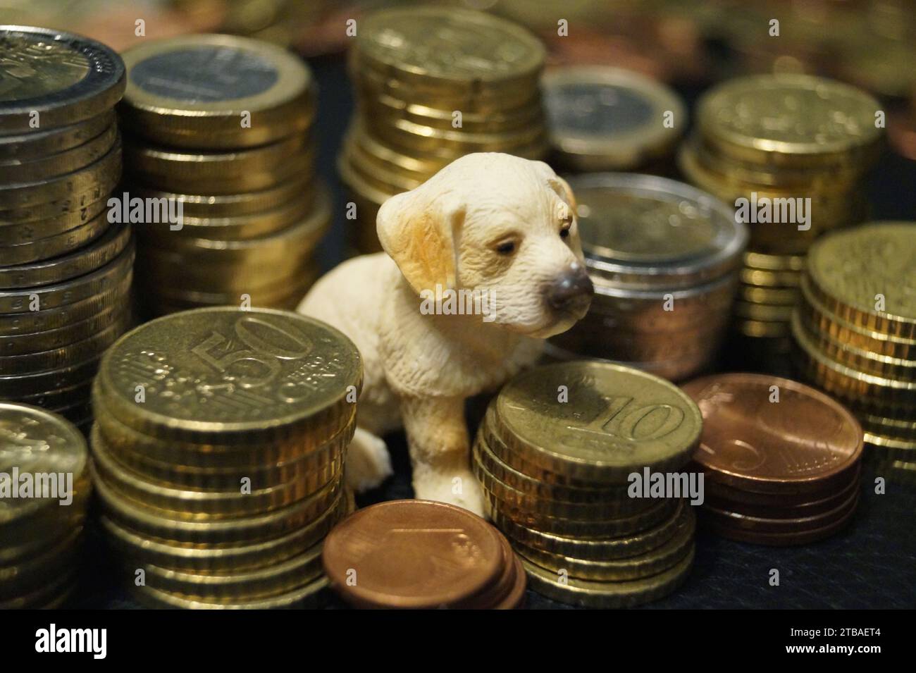 Hundefigur auf Münzen Stockfoto