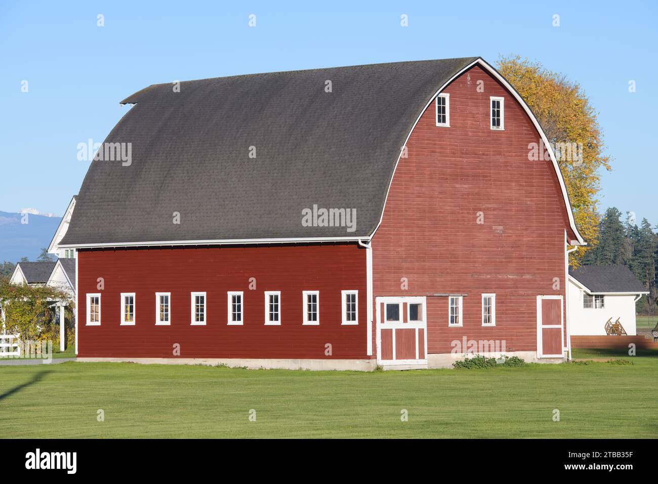 Skagit Valley, WA, USA - 17. November 2023; klassische rote Barme mit grünem Gras im Skagit Valley Stockfoto