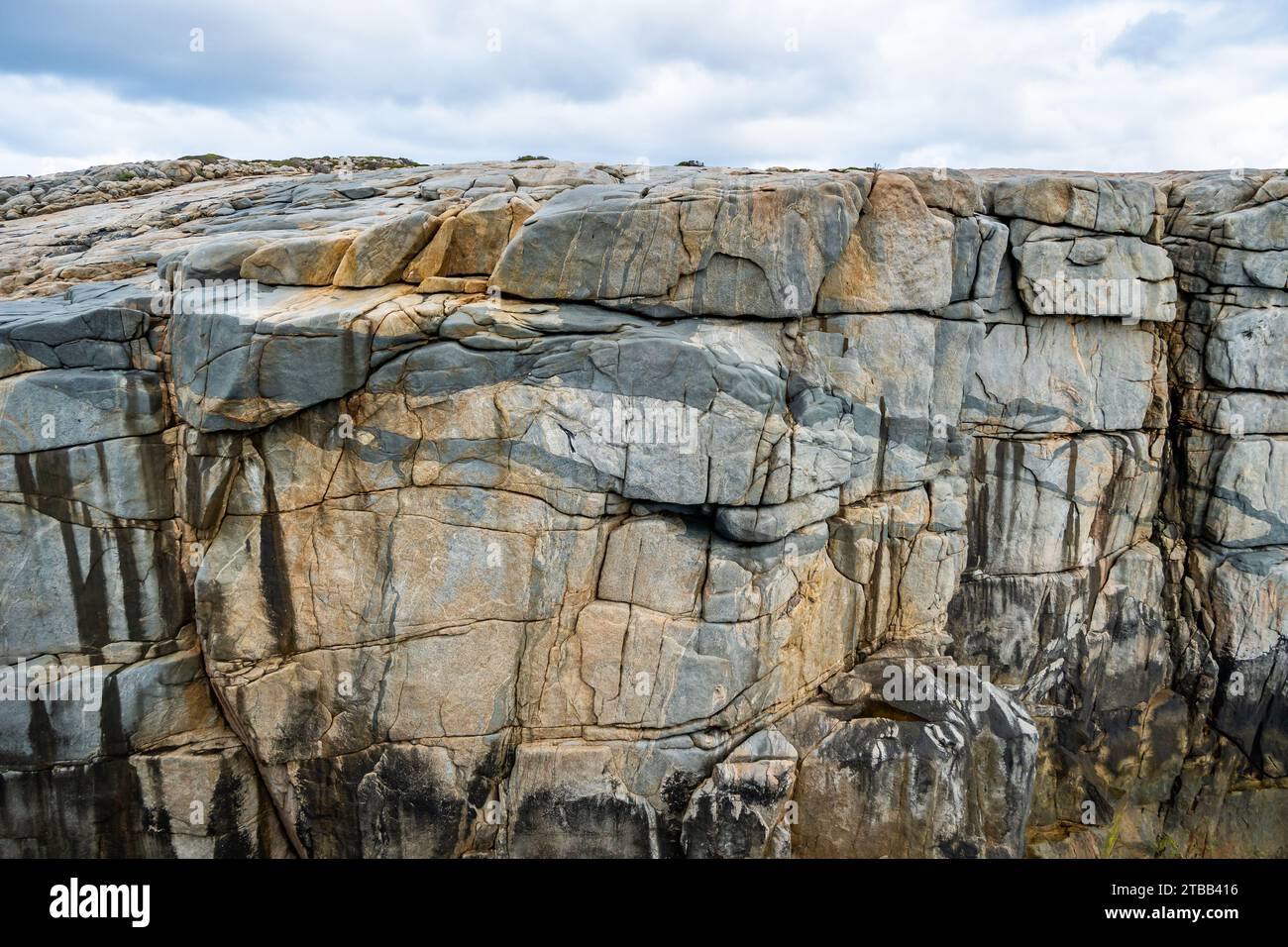 Dunkle Adern, die durch helles Granitgestein geschnitten sind. Westaustralien. Stockfoto