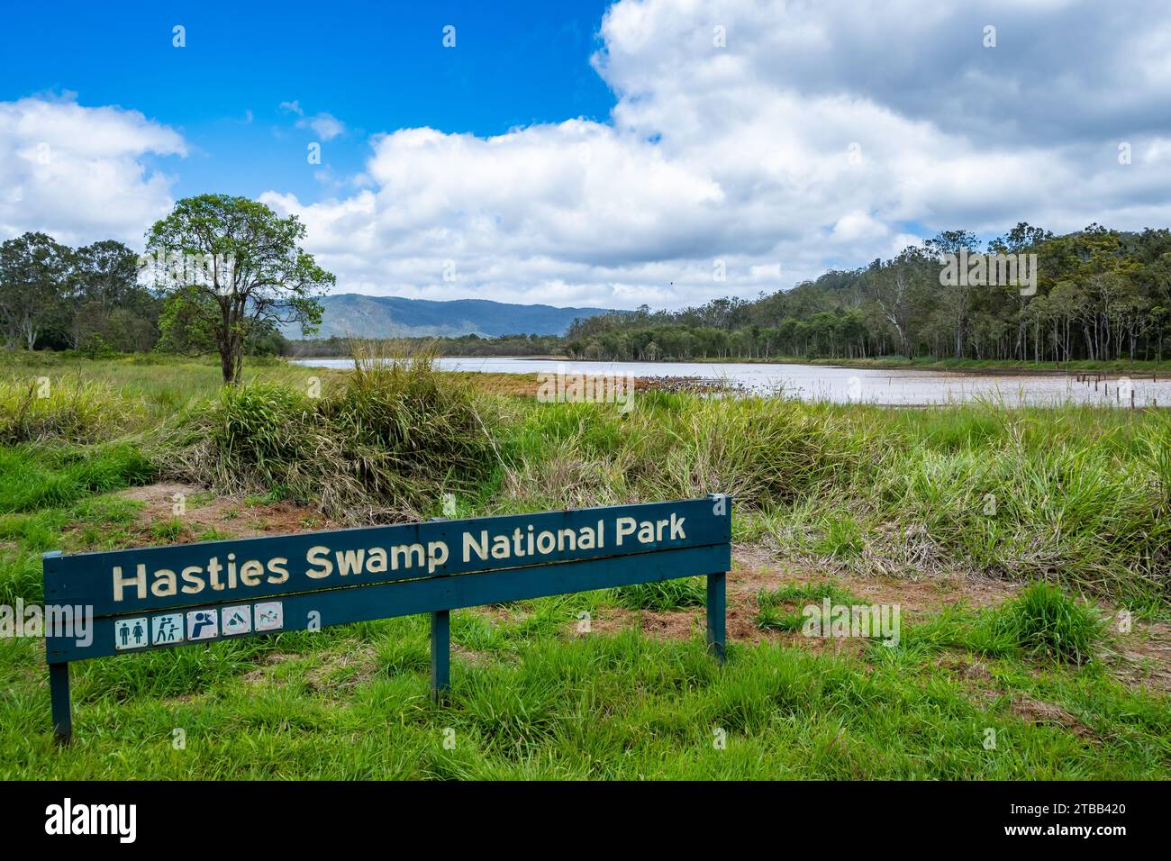 Der Hasties Swamp National Park. Queensland, Australien. Stockfoto