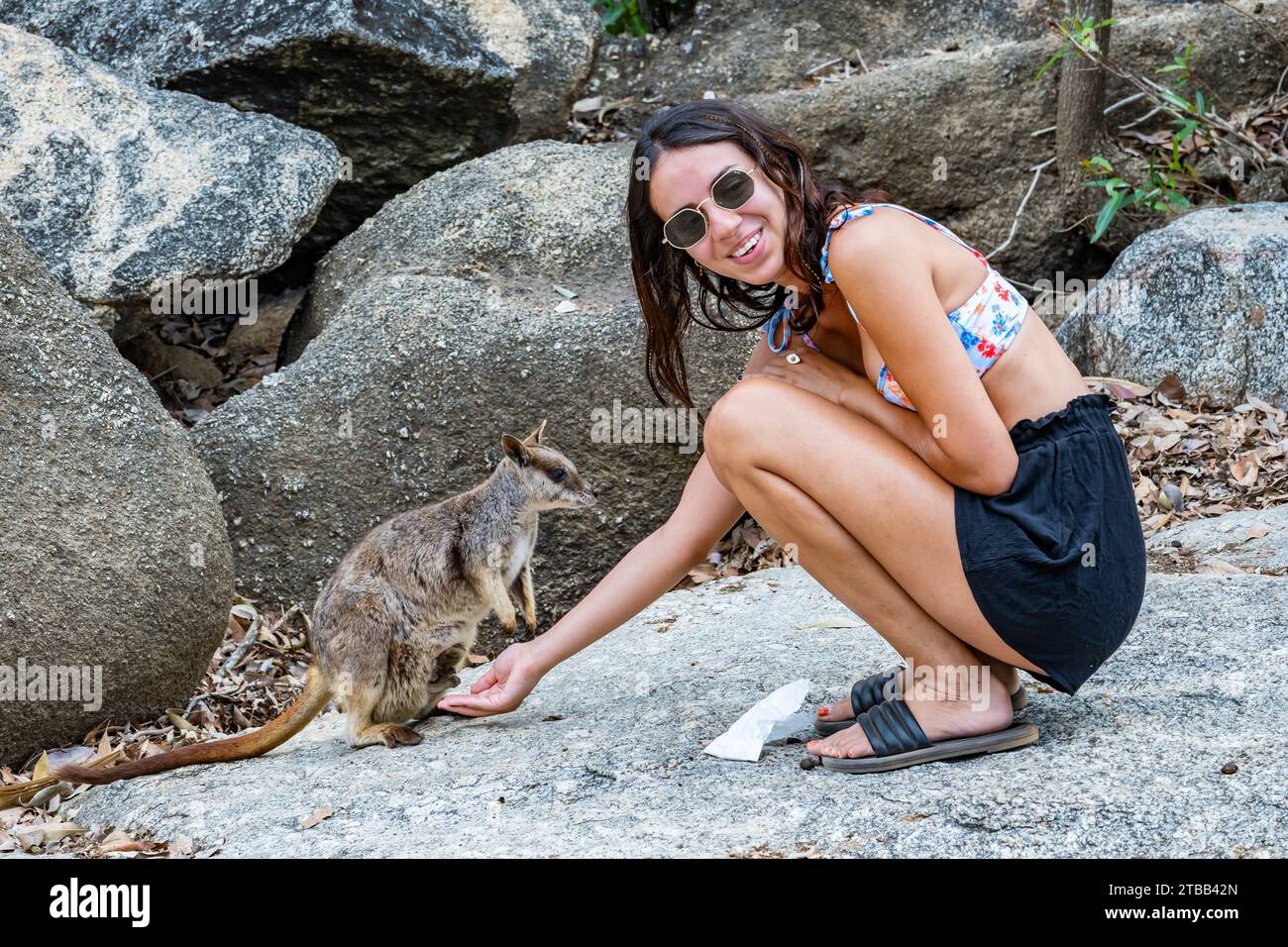 Eine junge Frau füttert ein Mareeba-Felsenwallaby (Petrogale mareeba) in einem Naturschutzgebiet. Australien. Stockfoto