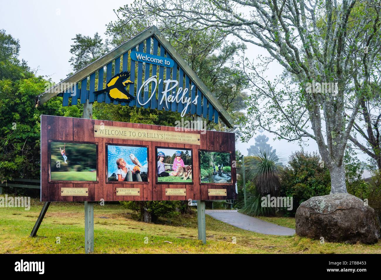 O'Reilly's Rainforest Retreat ist ein beliebter Touristenstop. Queensland, Australien. Stockfoto
