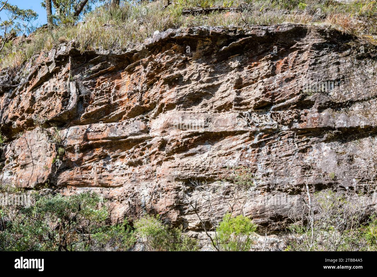 Kreuzbetten im Sandstein. Morton National Park, New South Wales, Australien. Stockfoto