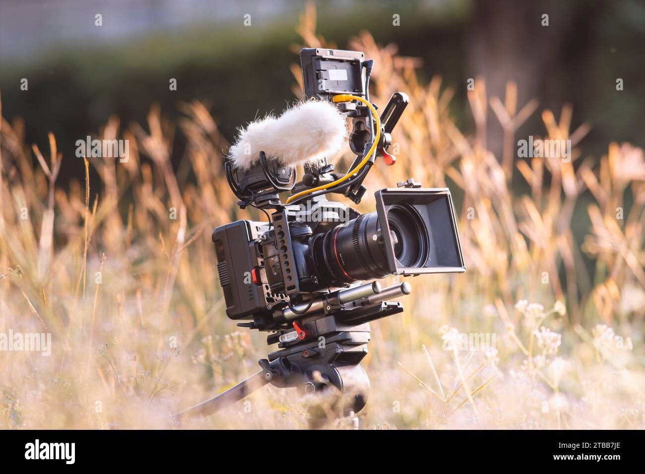 Digitalkamera und Tonaufzeichnungsgeräte auf dem Rasen.Dokumentarfilme. Stockfoto