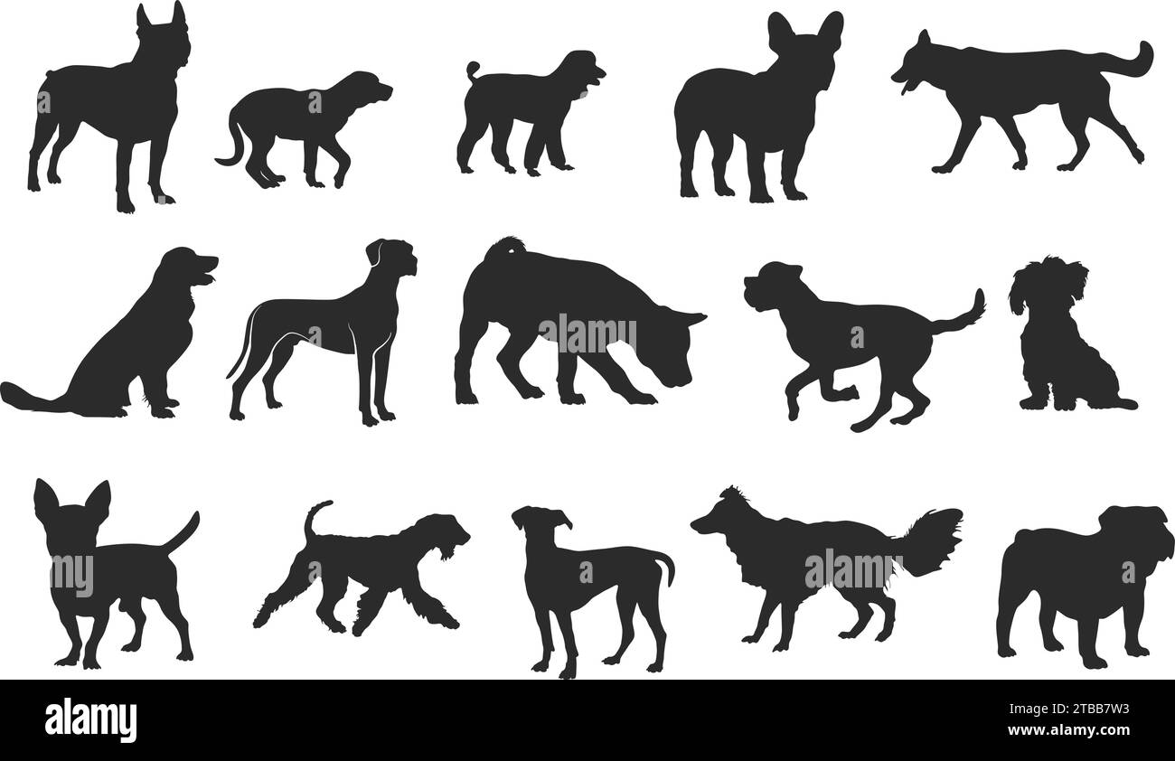 Hundesilhouette, Hundesilhouetten, Hunderassen Silhouette, Hundesymbol, Hundeclipart, Hundelogo. Stock Vektor