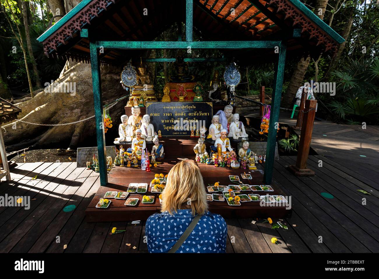 Wat Kham Chanot (Kamchanod), Gebete am kleinen Schrein des riesigen Baumes, Nagas Legende, Ban Dung, Udon Thani, Thailand, Südostasien, Asien Stockfoto