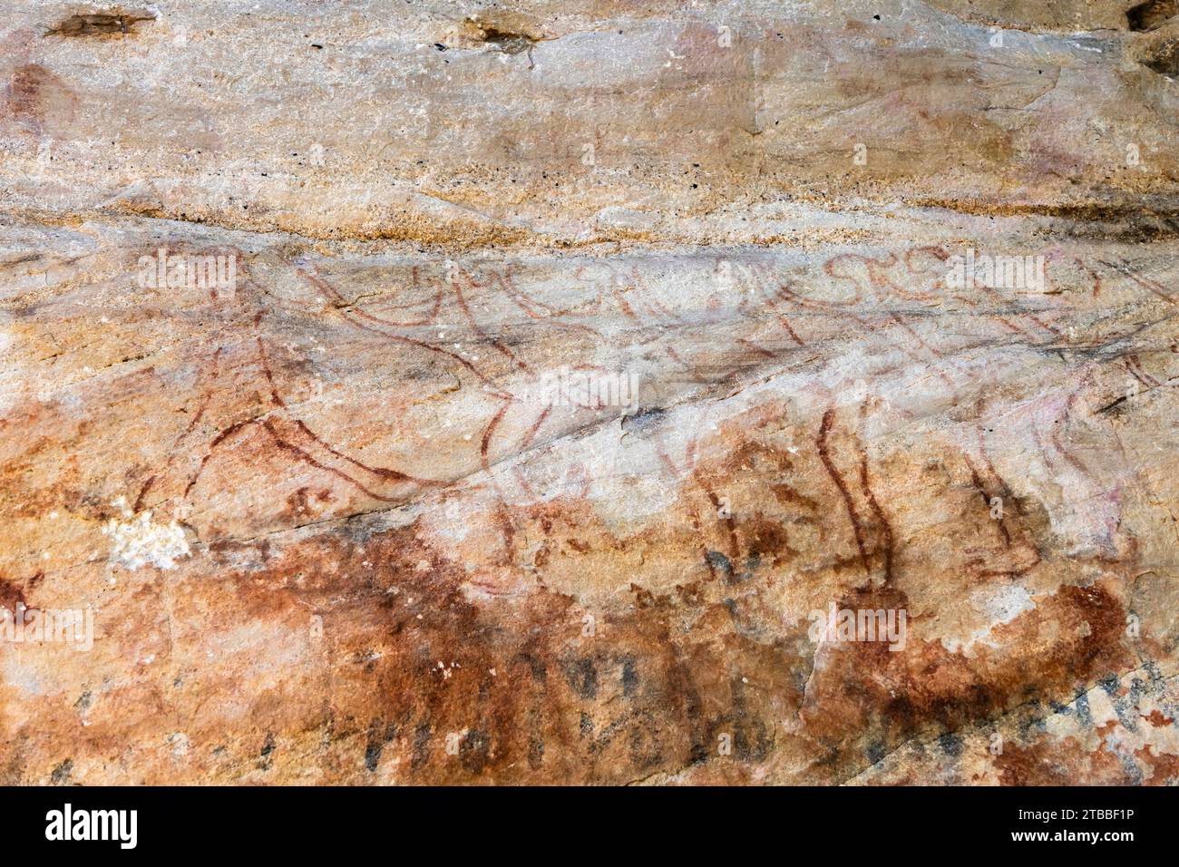 PHA Phak Wan, prähistorische Felsmalereien am riesigen Felsen, Song Dao District, Sakon Nakhon, Thailand, Südostasien, Asien Stockfoto