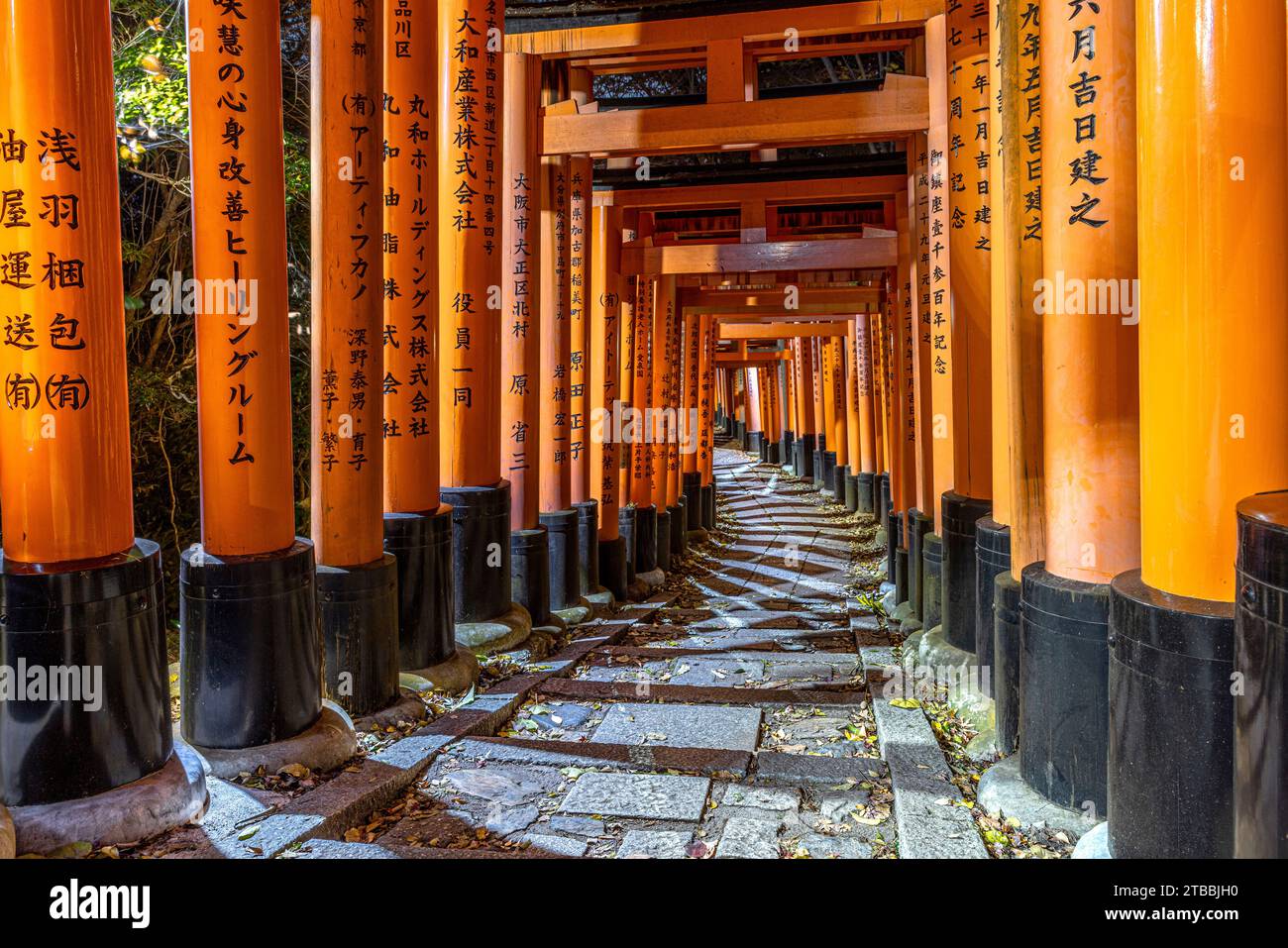 Pfad unter den Torii im fushimi inari Tempel in Kyoto Stockfoto