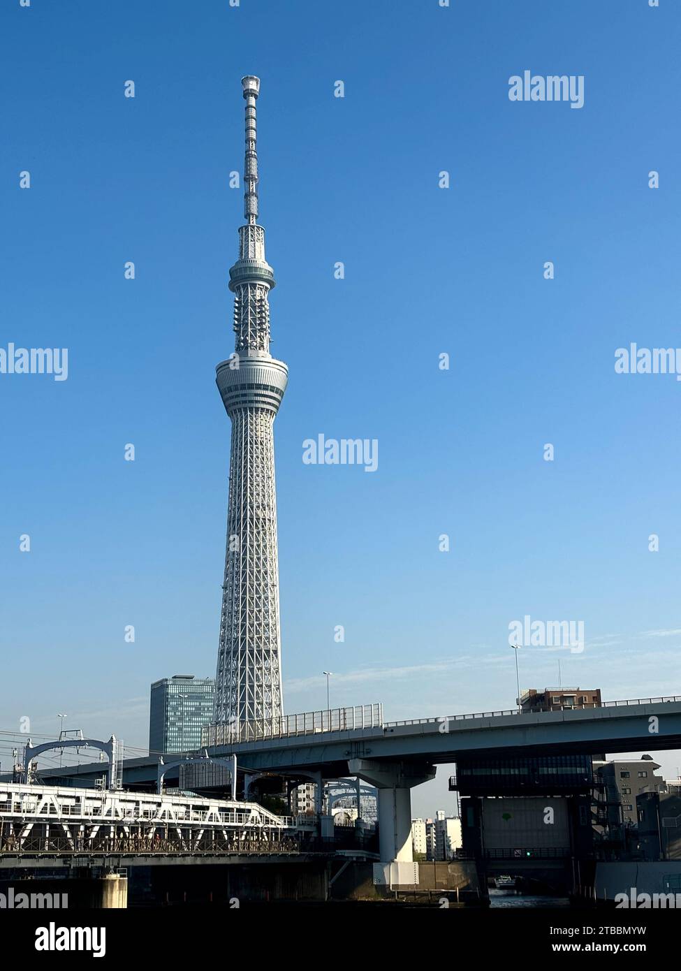 Der Tokyo Skytree wurde 2012 fertiggestellt und befindet sich im Bezirk Sumida in Tokio, Japan und ist eines der höchsten Bauwerke der Welt. Stockfoto