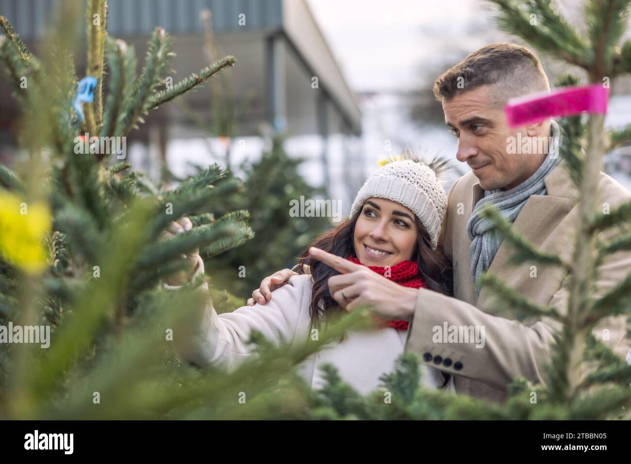 Ein glückliches Paar kauft auf dem Markt einen Weihnachtsbaum, importiert aus den nordischen Ländern. Ein Paar, das einen Baum auf einer Weihnachtsbaumfarm auswählt. Stockfoto