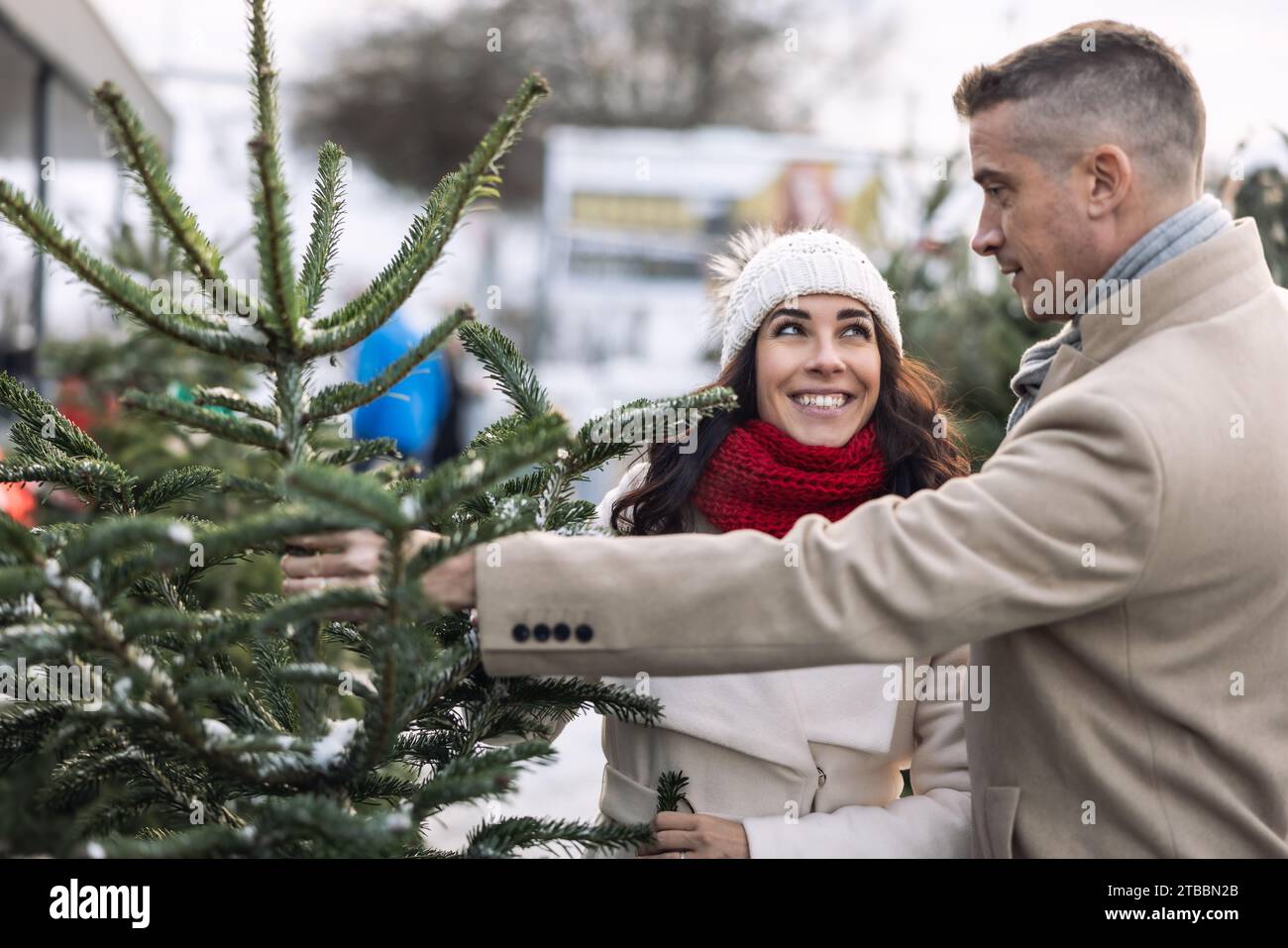 Ein glückliches Paar kauft auf dem Markt einen Weihnachtsbaum, importiert aus den nordischen Ländern. Ein Paar, das einen Baum auf einer Weihnachtsbaumfarm auswählt. Stockfoto