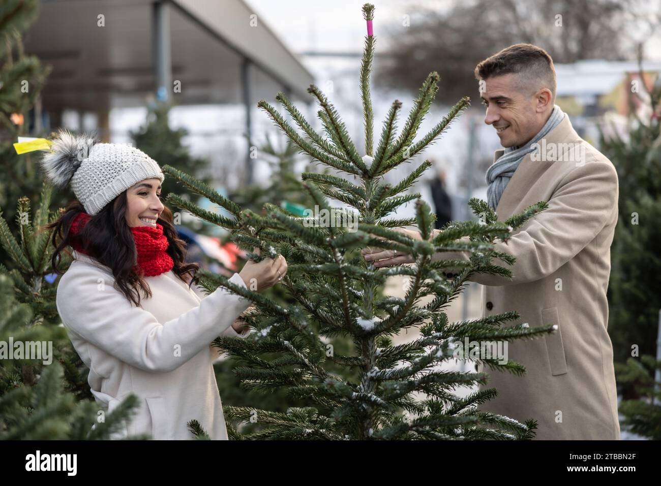 Ein glückliches Paar kauft auf dem Markt einen Weihnachtsbaum, importiert aus den nordischen Ländern. Ein Paar, das einen Baum auf einer Weihnachtsbaumfarm auswählt. Stockfoto