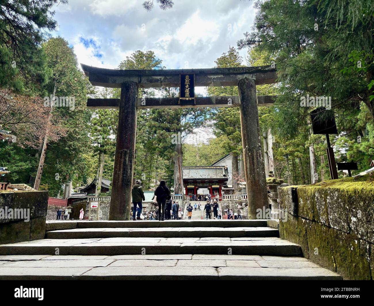 Torii-Tor am Nikko Toshogu-Schrein in Nikko, Japan. Stockfoto