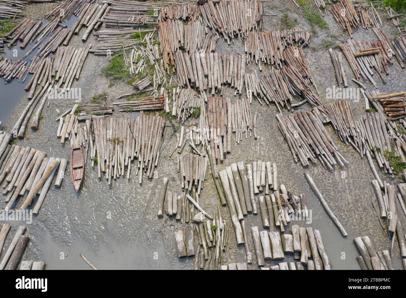 Pirojpur, Bangladesch: Am Ufer des Flusses Sandha bei Swarupkathi in Nesarabad upazila von Pirojpur werden riesige Mengen von Baumstämmen zum Verkauf gehalten. Stockfoto