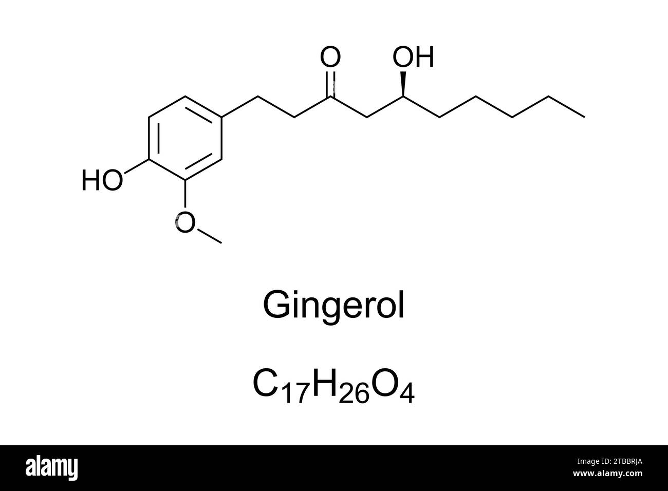 Gingerol, chemische Formel und Struktur. Phenolische phytochemische Verbindung, die in frischem Ingwer gefunden wird und Wärmerezeptoren auf der Zunge aktiviert. Stockfoto