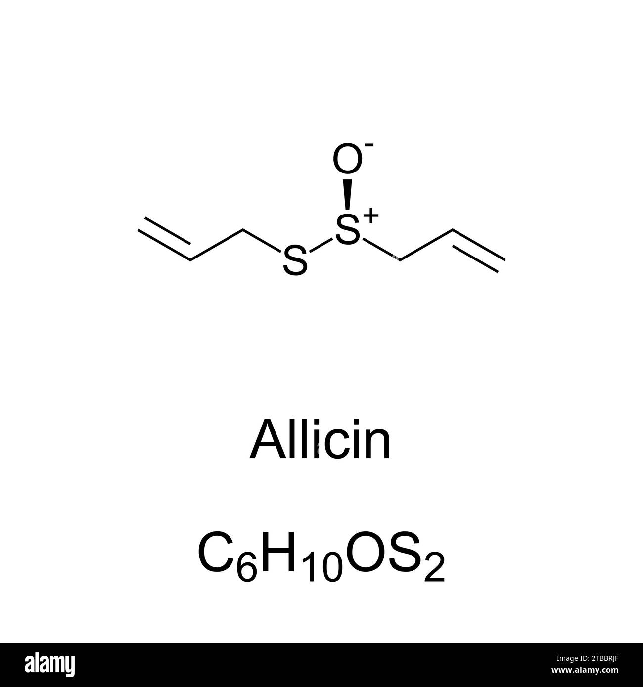 Allicin, chemische Formel und Struktur. Organoschwefelverbindung aus Knoblauch. Durch Zerkleinern oder Zerkleinern von frischem Knoblauch wird Alliin in Allicin umgewandelt. Stockfoto
