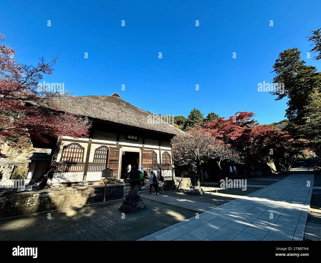 Der Sembutsudo des Engaku-JI-Tempels in Kamakura, Japan, ist eine Halle mit Strohdach für die Zen-Meditation. Sie wurde 1699 erbaut. Stockfoto