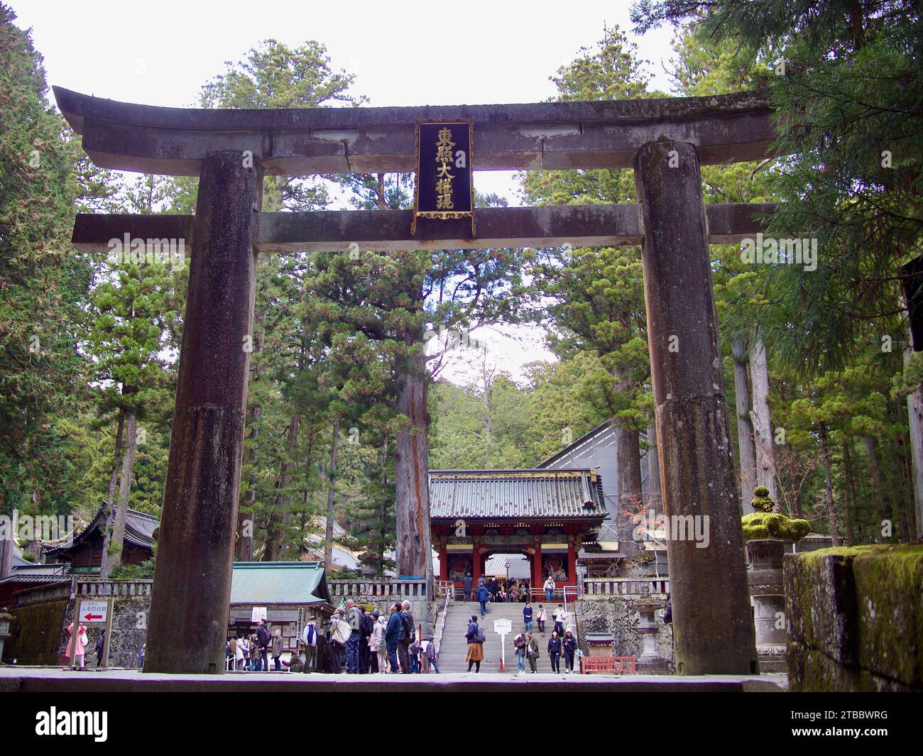 Torii-Tor am Nikko Toshogu-Schrein in Nikko, Japan. Stockfoto
