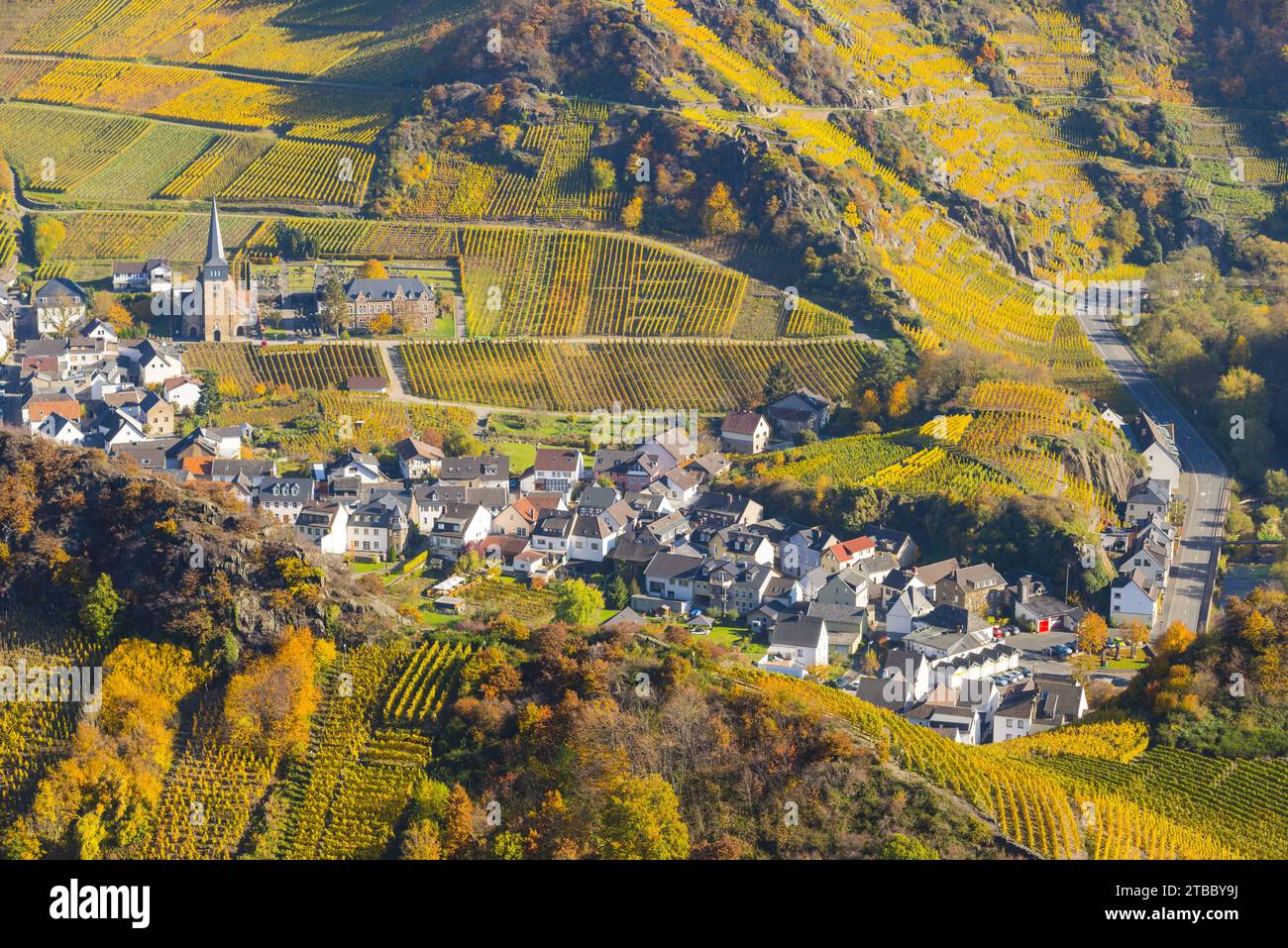 Weinberge im Herbst, Mayschoß mit Pfarrkirche, Ahrtaler Rotweinbaugebiet, Pinot Noir und portugiesischer Traubenrotwein werden hier angebaut, Eifel, Rhein Stockfoto