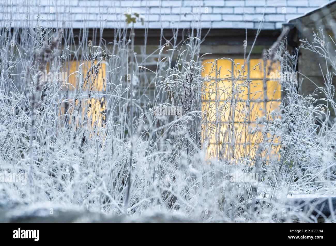 Chipping, Preston, Lancashire, Großbritannien. Dezember 2023. Die Sonne scheint durch die Fenster der alten Kirk Mill in Chipping, Preston, Lancashire an einem kalten, frostigen Morgen. Quelle: John Eveson/Alamy Live News Stockfoto