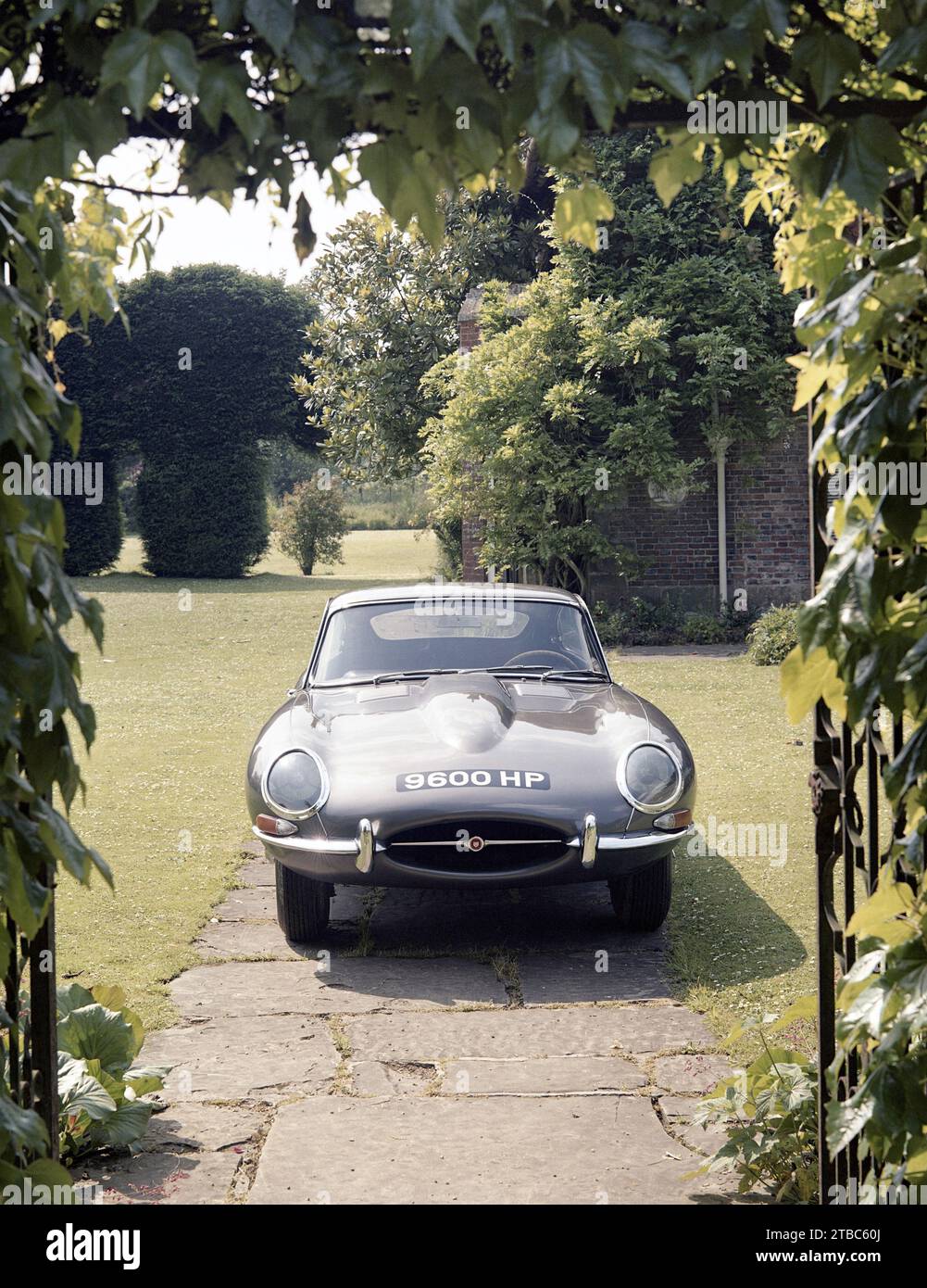 1961 Jaguar E-TYPE Serie 1 Coupé, 9600 PS, im Sommer in einem Garten eines Landhauses durch einen Gitterbogen dargestellt Stockfoto