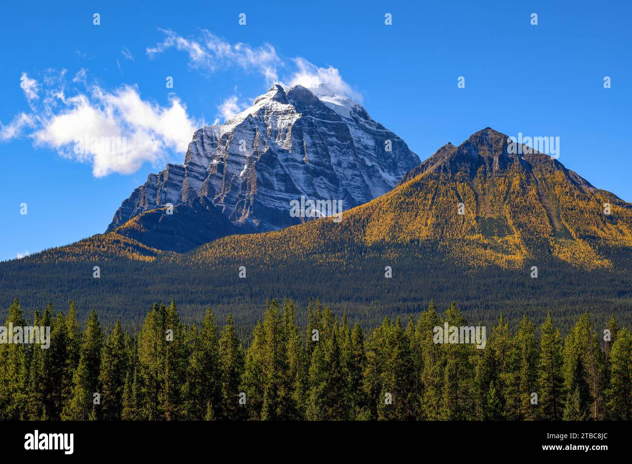 Schneebedeckter Mount Temple vom Bow Valley Pkwy im Banff National Park, Kanada Stockfoto
