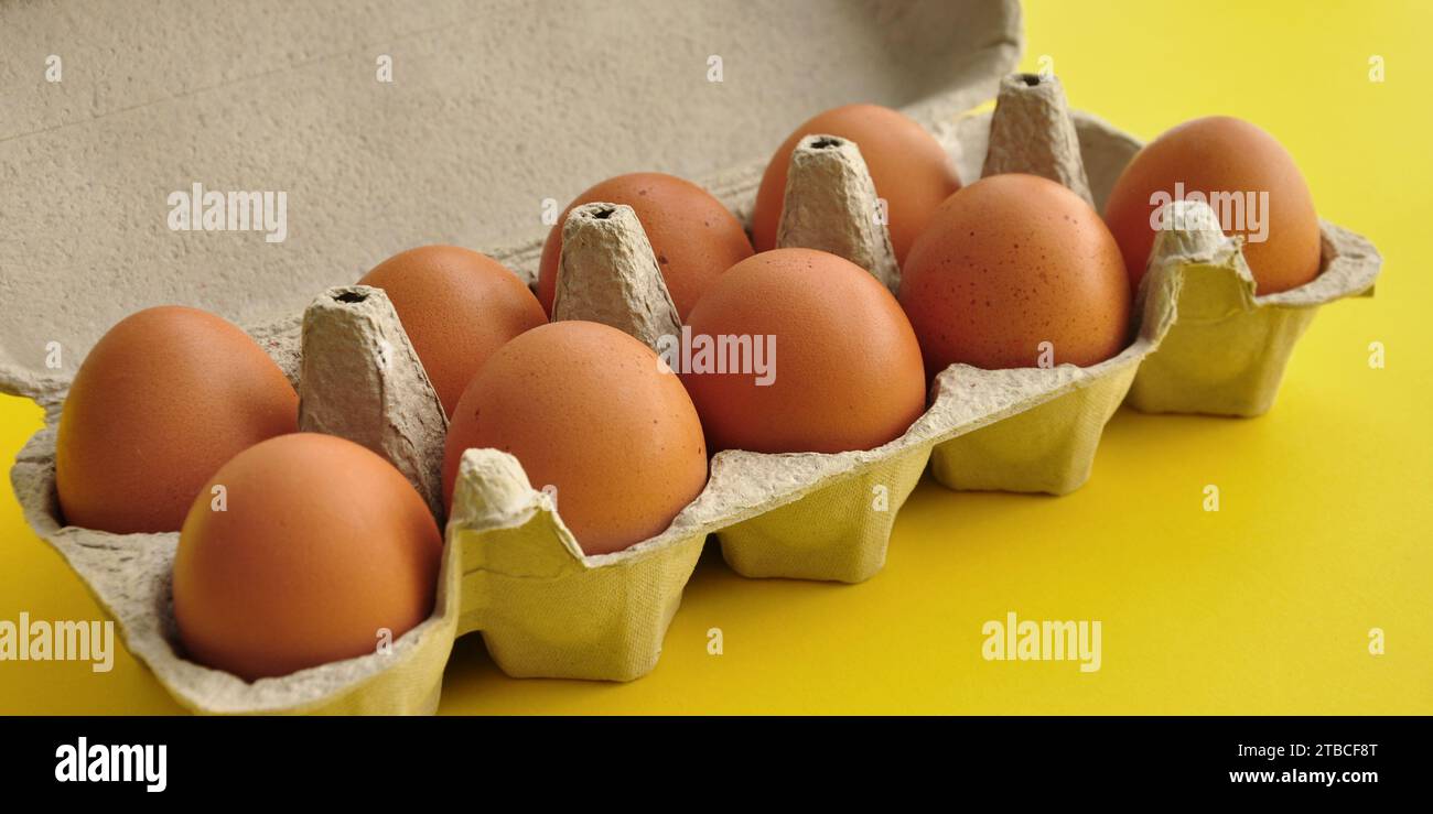 Rustikale, braune Hühnereier aus biologischem Anbau in einer offenen, nachhaltigen Kartonschale (Box) auf einem hellen, monochromen gelben Hintergrund. Verspieltes festliches Bild Stockfoto