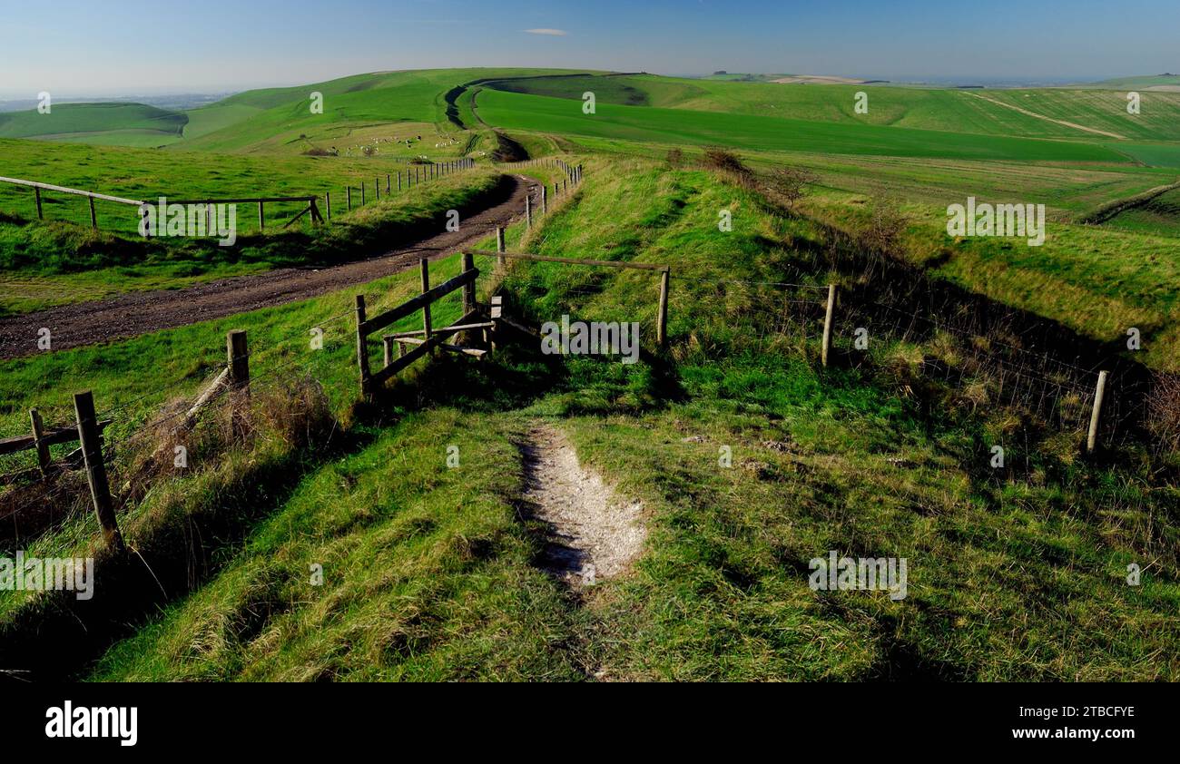 Die Wansdyke alten Erdarbeiten auf den Wiltshire Downs, Blick in Richtung Tan Hill. Stockfoto