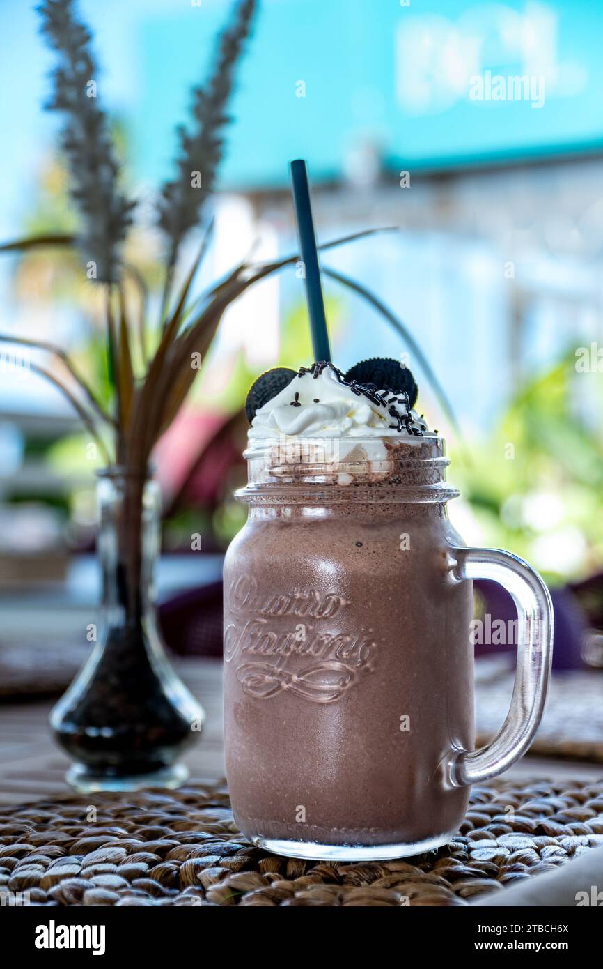 Ein Porträt von einem leckeren Schokoladen-Milchshake mit Schlagsahne und Keksen Stockfoto