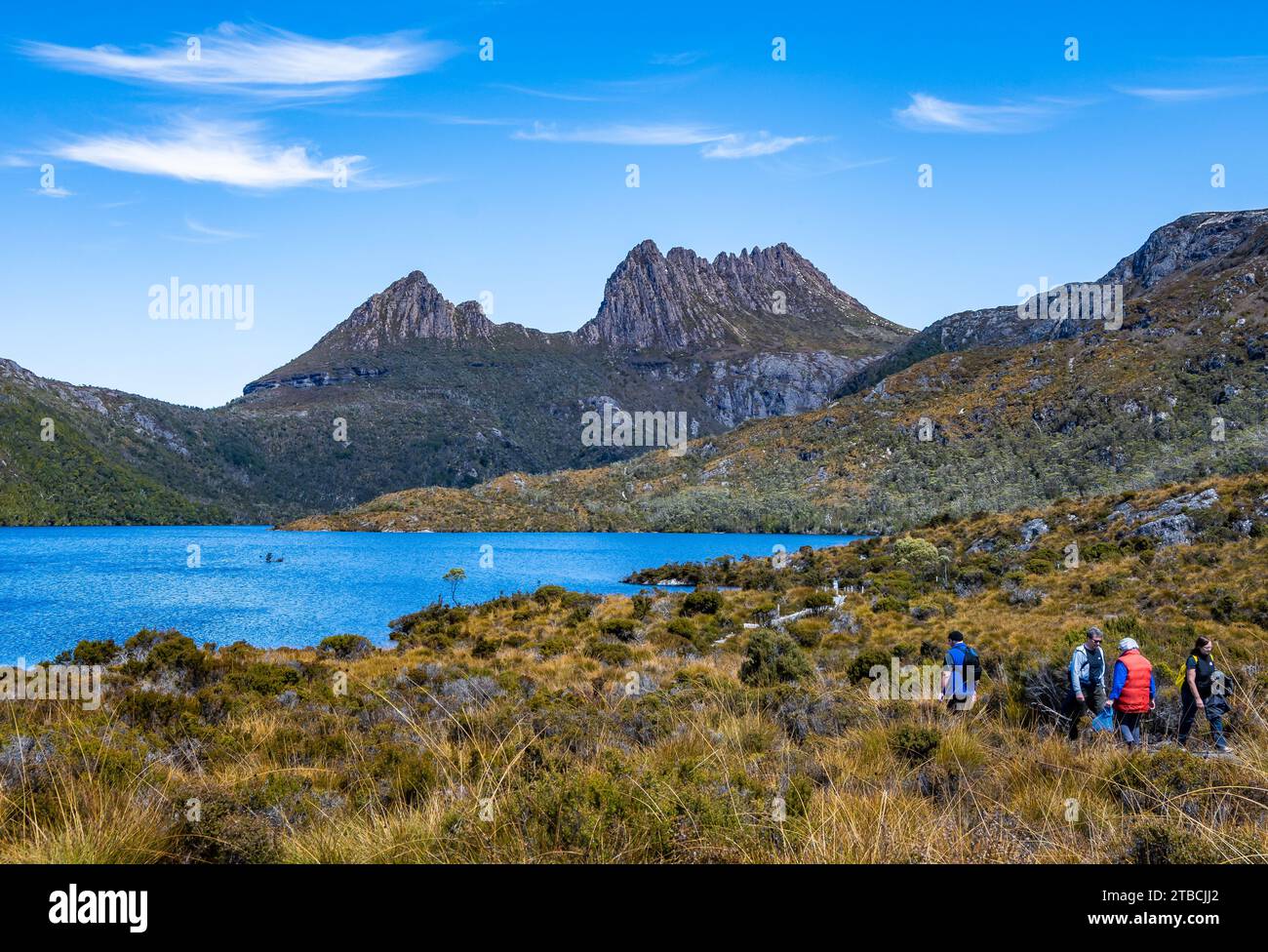 Wanderer wandern auf dem Weg entlang des Dove Lake im Cradle Mountain-Lake St Clair National Park, Tasmanien, Australien. Stockfoto